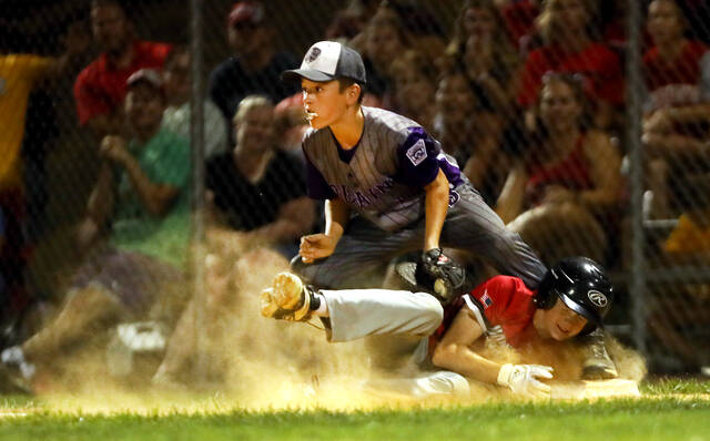 Wyoming Area wins district baseball championship 